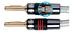 QED KABELSTECKER - 2