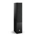 DALI FLOORSTANDING SPEAKER - 2