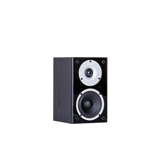 RAPTOR MINI BLACK