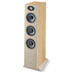 FOCAL THEVA N°3 - 1