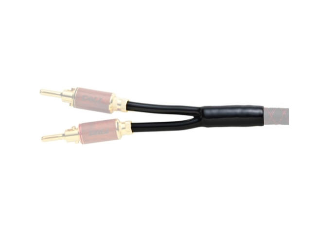 TERMINATION KIT DUAL
