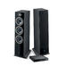FOCAL THEVA N°3 + CI-UNITI 102 - 1