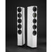 SCANSONIC HD M40 - 1