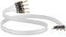 QED C-QSAXTBW/50 - 1