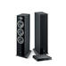 FOCAL THEVA N°2 + CI-UNITI 102 - 1